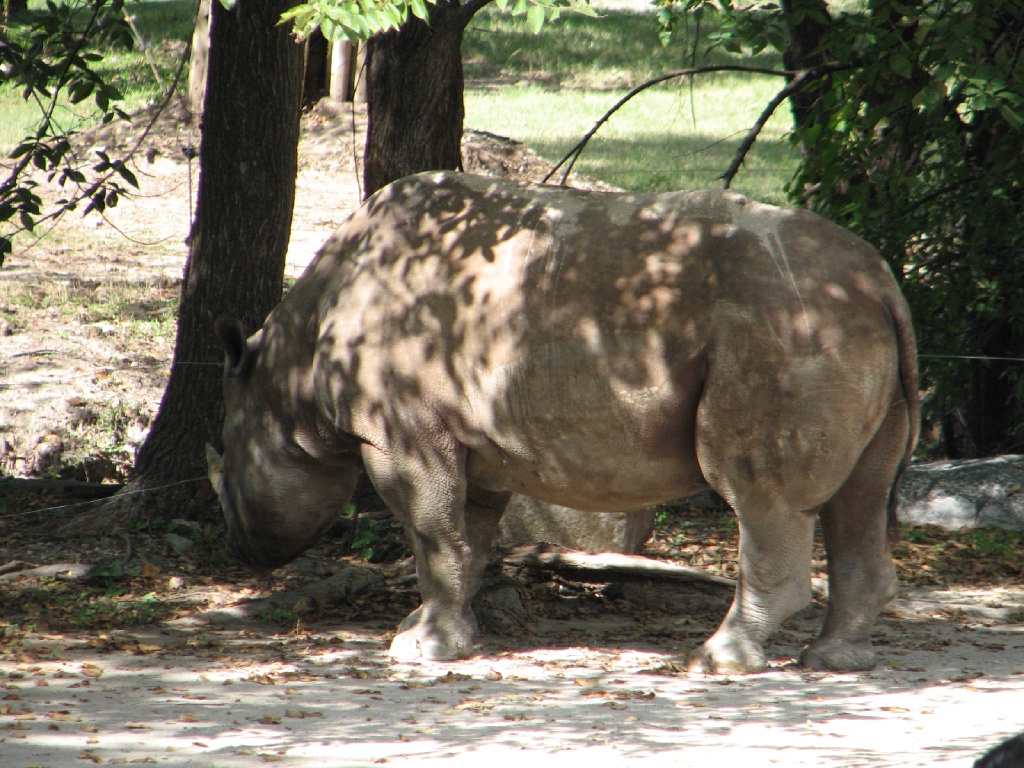 20100206 485.JPG